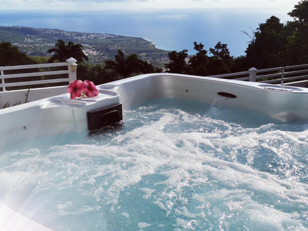 Belavue & Spa Prive, Avec Vue Panoramique Sur Mer, Jardin Creole Paysager, Jacuzzi Prive 부이영뜨 외부 사진